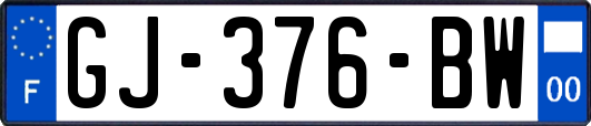 GJ-376-BW