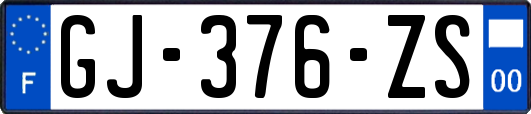 GJ-376-ZS