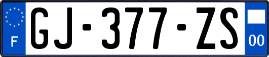 GJ-377-ZS