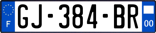 GJ-384-BR