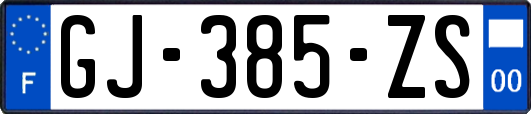 GJ-385-ZS