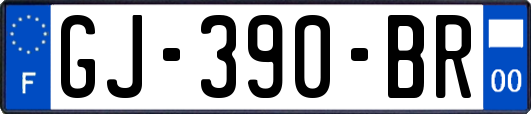 GJ-390-BR