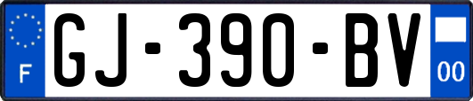 GJ-390-BV