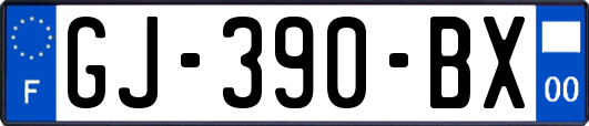 GJ-390-BX