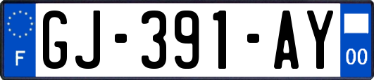 GJ-391-AY