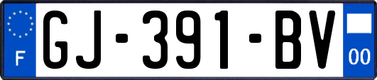 GJ-391-BV