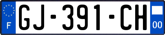 GJ-391-CH