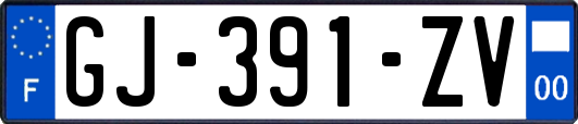 GJ-391-ZV