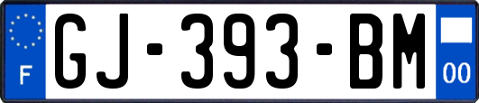 GJ-393-BM