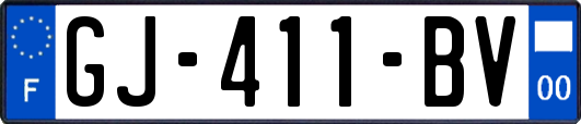 GJ-411-BV