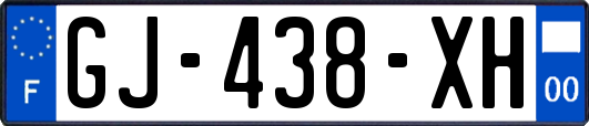 GJ-438-XH