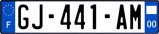 GJ-441-AM