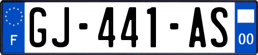 GJ-441-AS