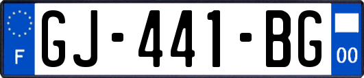 GJ-441-BG