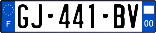 GJ-441-BV