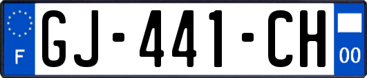 GJ-441-CH