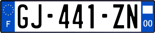 GJ-441-ZN