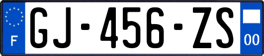 GJ-456-ZS