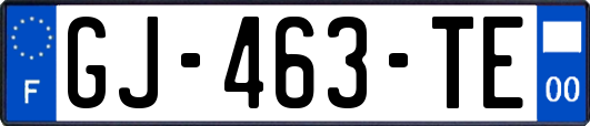 GJ-463-TE