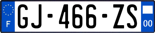 GJ-466-ZS