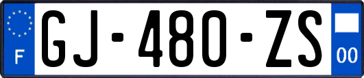 GJ-480-ZS