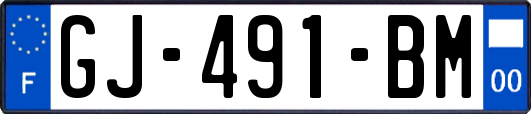 GJ-491-BM