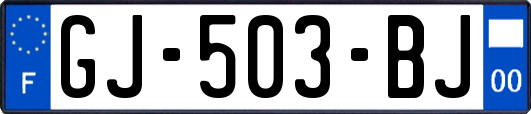 GJ-503-BJ