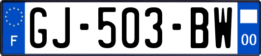 GJ-503-BW