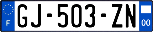 GJ-503-ZN