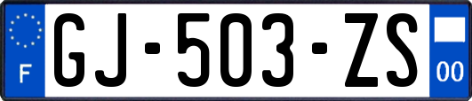 GJ-503-ZS