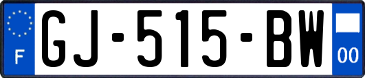 GJ-515-BW