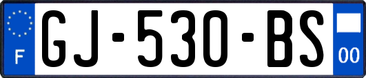 GJ-530-BS