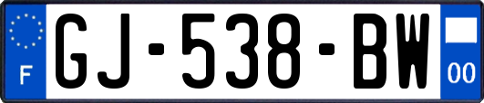 GJ-538-BW