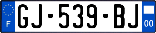 GJ-539-BJ