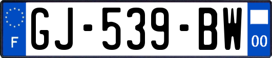 GJ-539-BW