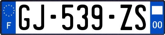GJ-539-ZS