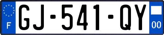 GJ-541-QY