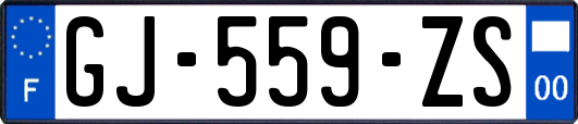 GJ-559-ZS