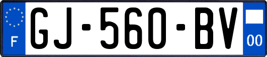 GJ-560-BV