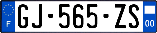 GJ-565-ZS