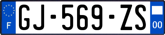 GJ-569-ZS