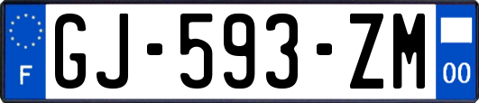 GJ-593-ZM