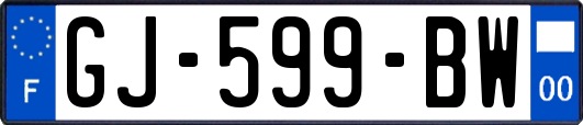 GJ-599-BW