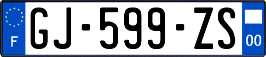 GJ-599-ZS