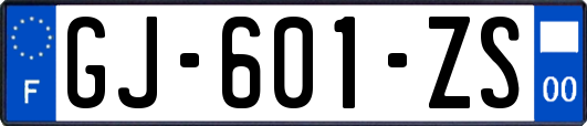 GJ-601-ZS