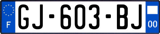 GJ-603-BJ