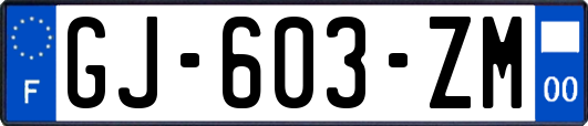 GJ-603-ZM