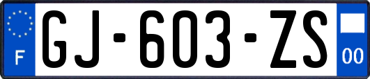 GJ-603-ZS