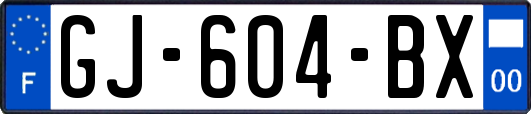 GJ-604-BX