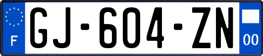 GJ-604-ZN